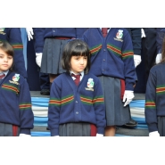 Promesa de lealtad a la Bandera Argentina